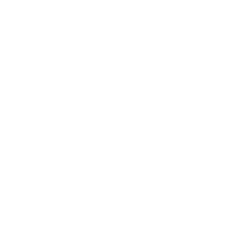 Affordable WordPress Web Developer