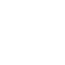 MySQL South Beach Geek